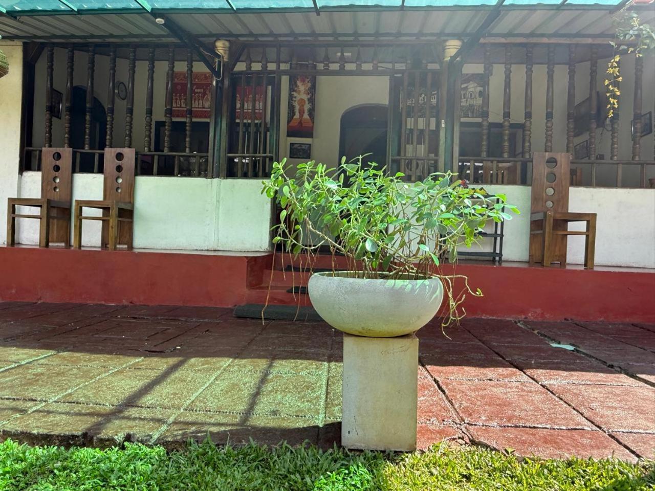 Lake Classical Guest House Kandy Eksteriør billede